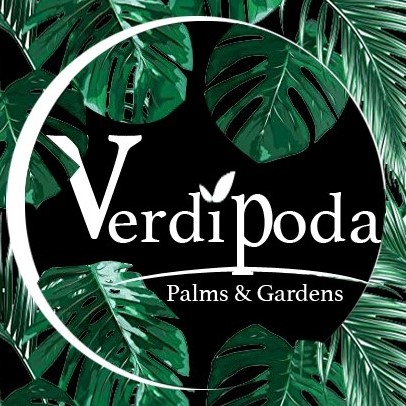 Verdipoda